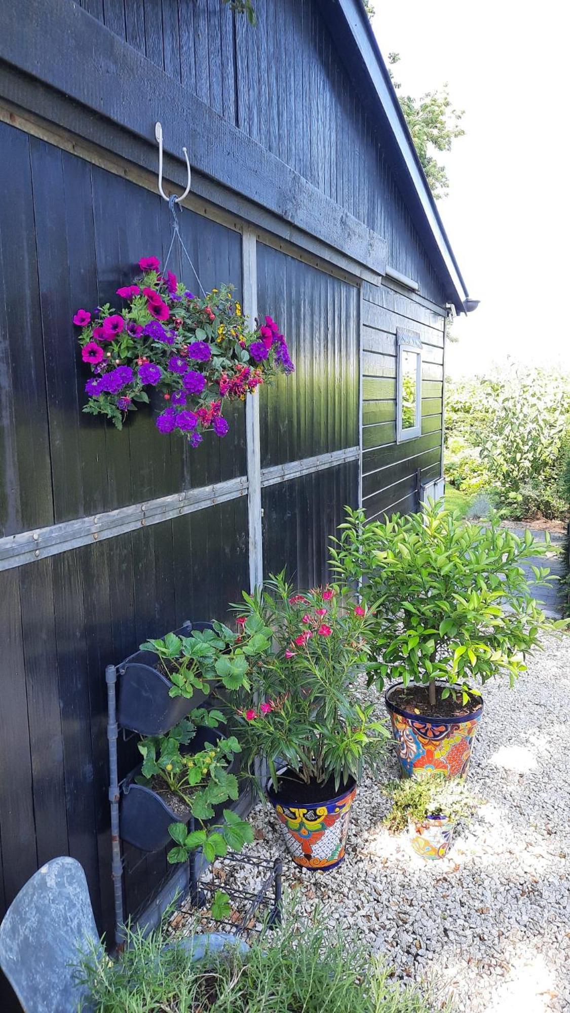Vakantiehuis Onder De Peppel Met Sauna En Jacuzzi Wijk en Aalburg ภายนอก รูปภาพ